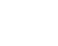 Bug Blasters